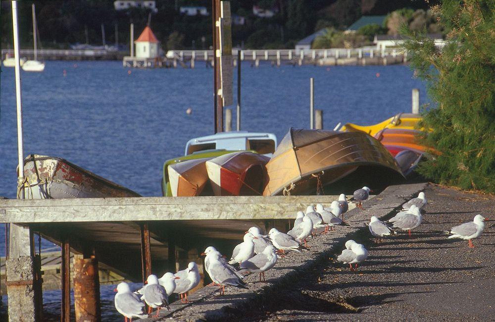 Akaroa Criterion Motel Eksteriør billede